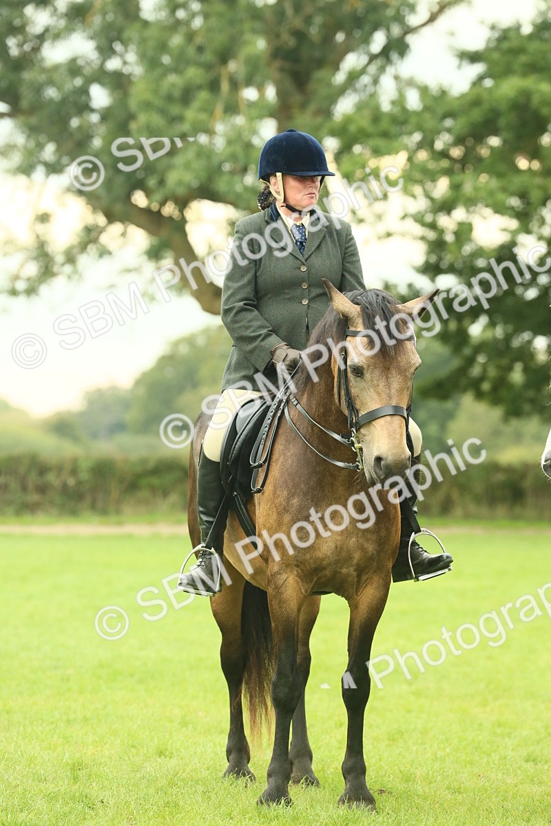 SBM_72188 - S60 - Mountain & Moorland Ridden Large Breeds