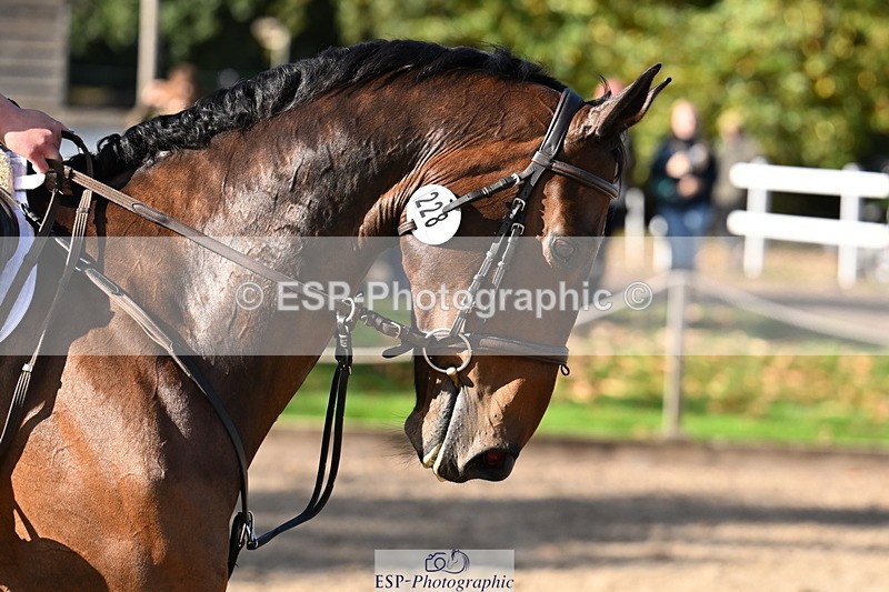 251024A-122828-10355 - C-228-Emma.Maria.Zucconi