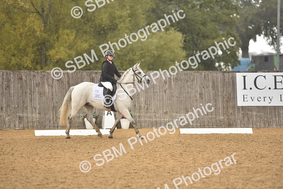 SBM_42443 - D22 - Junior Championship Intro 3