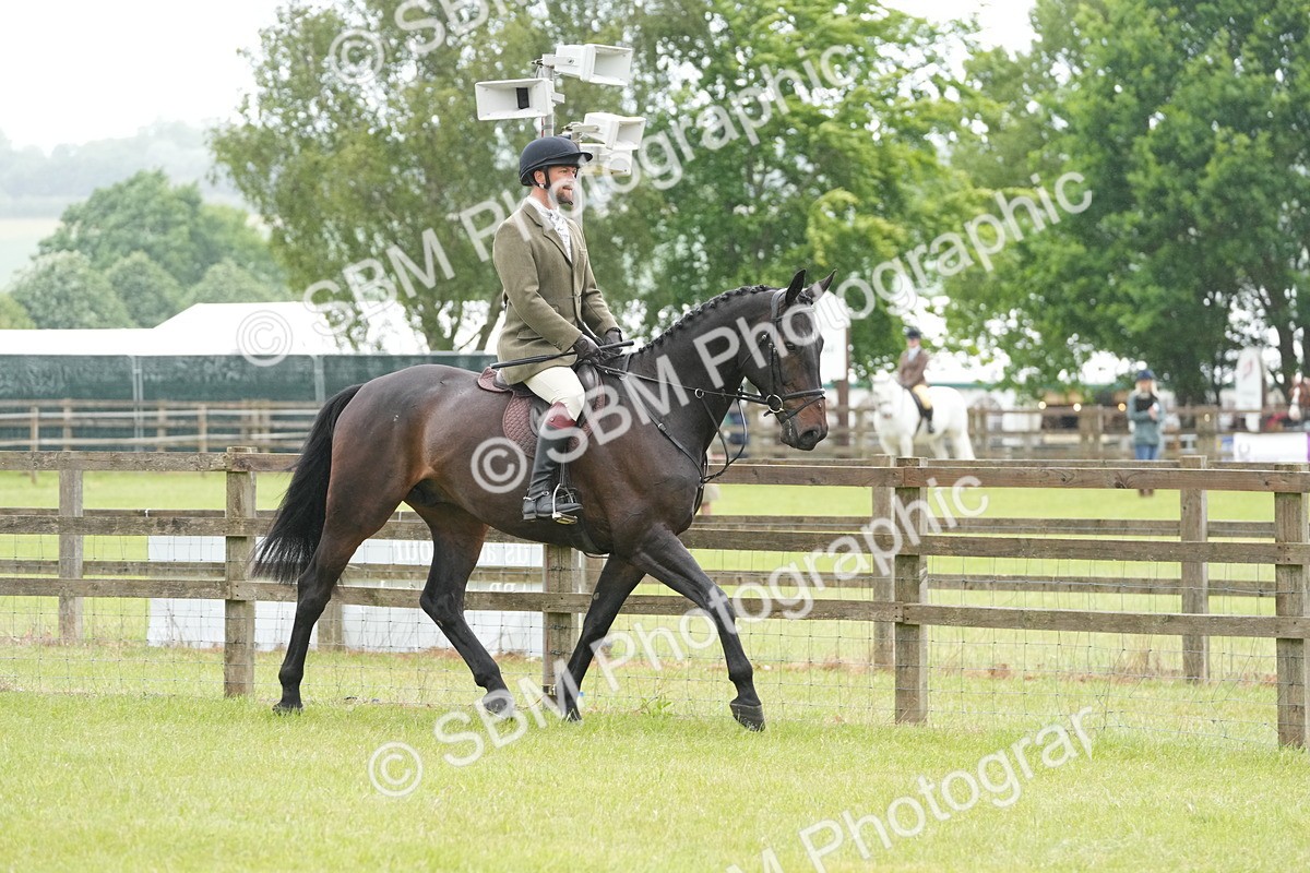 SBM_12653 - Class 97-98 - LIHS BSHA Rising Star Working Show Horse Hunter