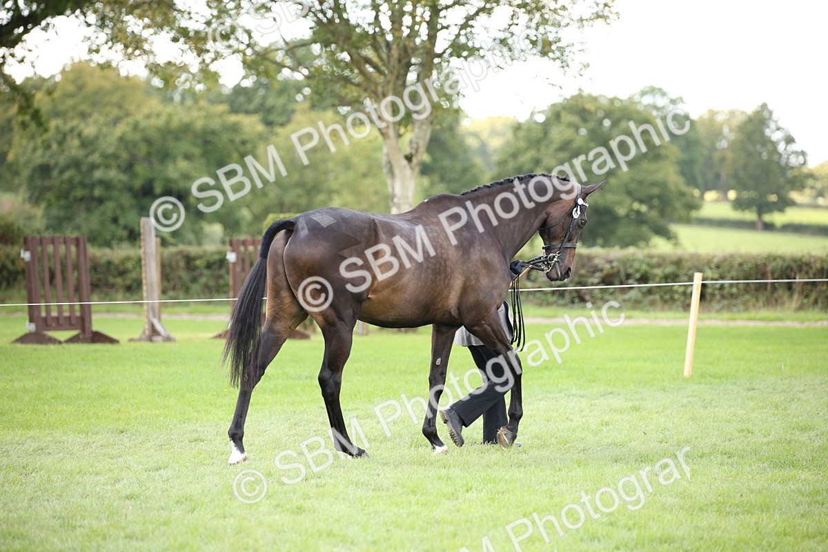 SBM_44360 - S24 - Young Veteran in hand
