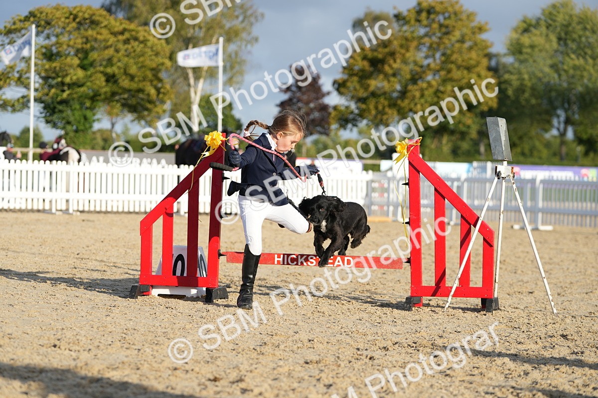 SBM_29386 - J44 - Horse & Hound Open 70cm