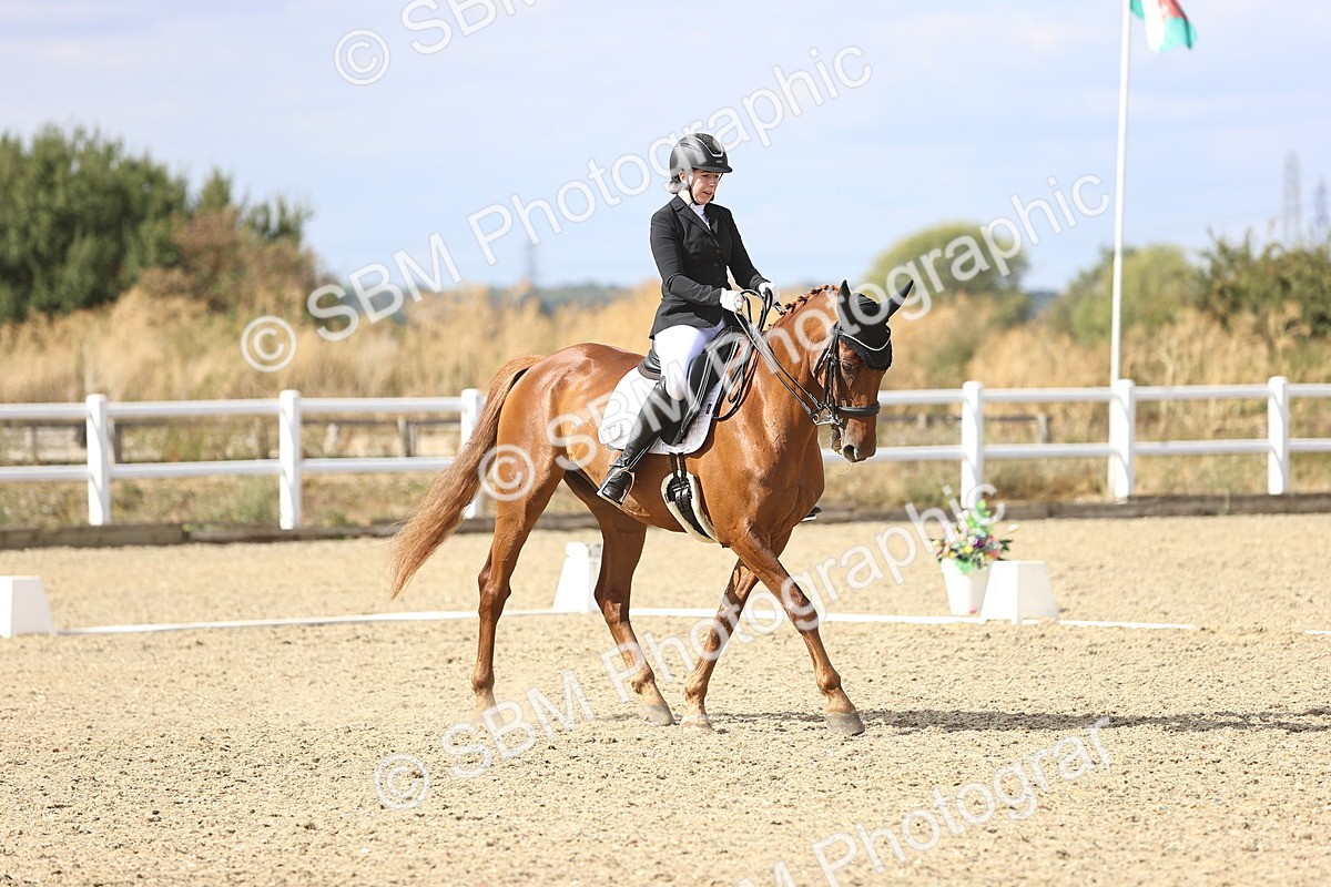 SBM_015249 - Class 5 - E5 Bronze 14.42.15.54