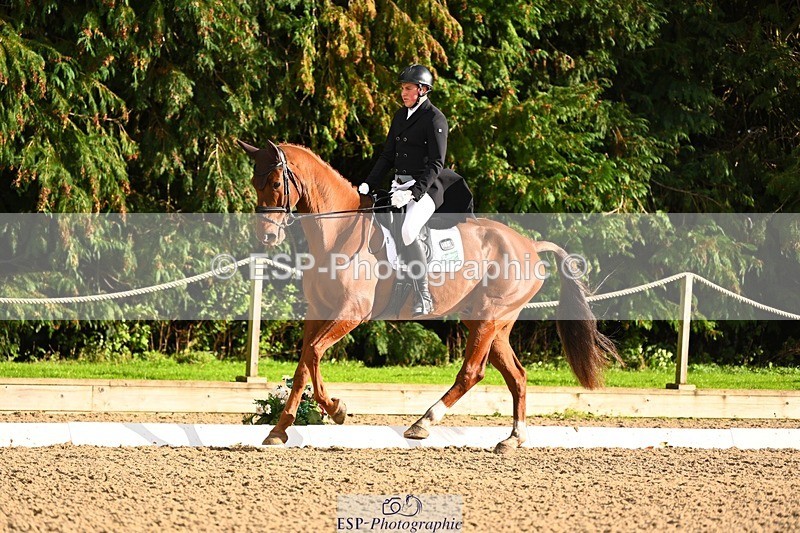 231021-151527-20799 - 256-GOODFELLA.GIO-Finley.Atherton-DR