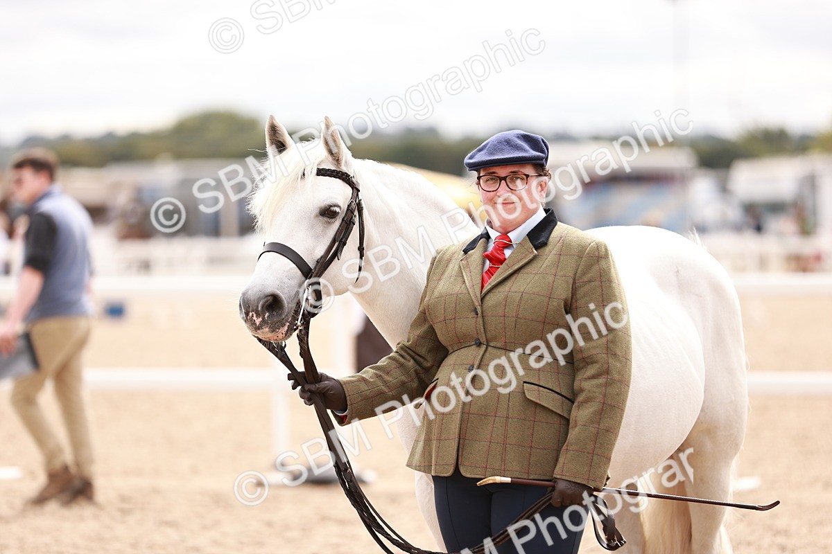 SBM_16318 - Class 413 - Best Condition - Adult