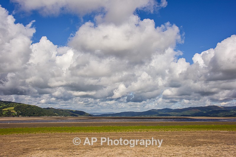 ACP_2380-1 - Ynyslas