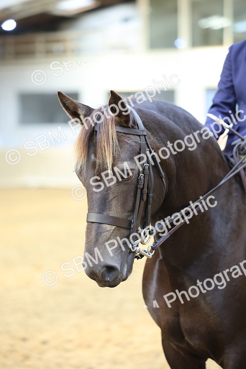 SBM_24592 - Class 906 - Supreme Final - Ridden Pre Vet