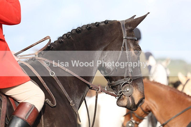 3E7A0588 - Four Burrow Opening Meet 2025