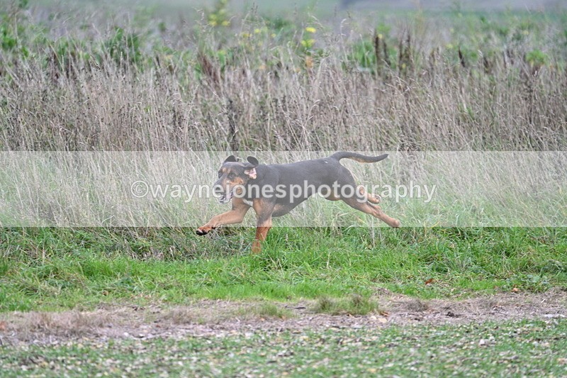 WJ7_2524 - Camera A