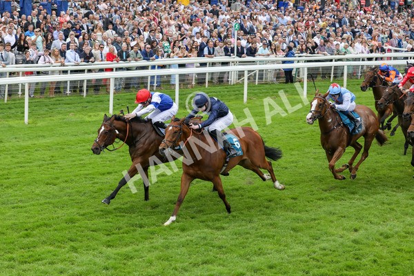 250524-Race 1-Tiriac-2970 - Race 1 1.35pm William Hill Keep Your Raceday Positive Handicap