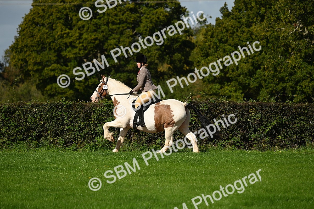 SBM_01593 - S2 - TSR Ridden Horse Showing
