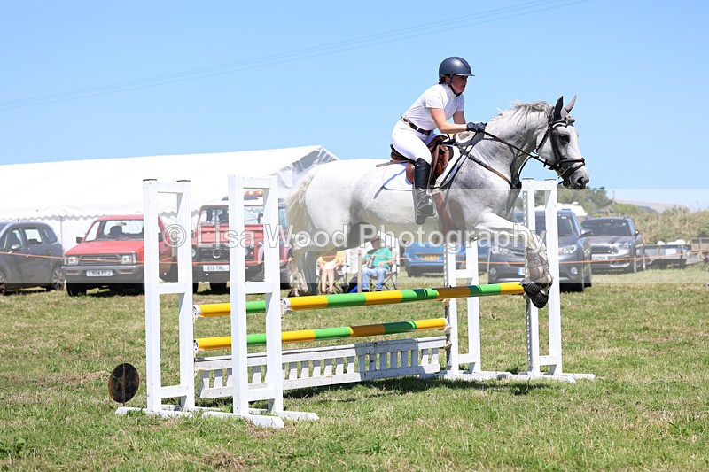 3E7A5609 - Class 9: Senior British Novice/90cm open