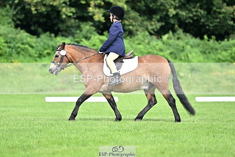 230826-103250-16566 - Sections A & B 10 to End