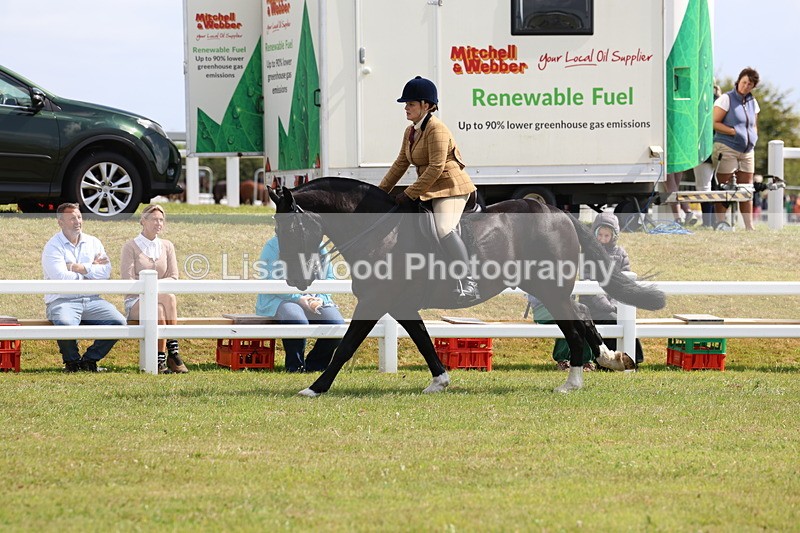 3E7A9763 - Class 5: Rising Star Lightweight/Heavyweight Cobs