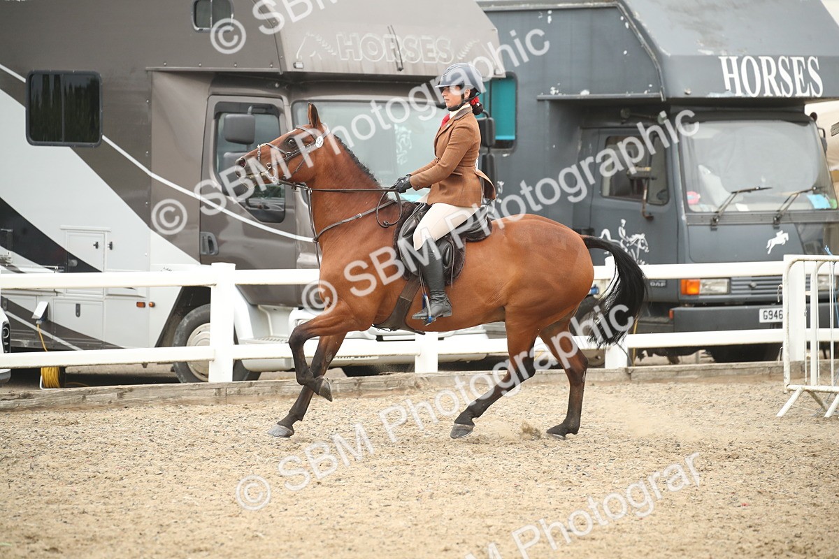 SBM_18494 - Class 510b - Working Veteran 90cm (20+)