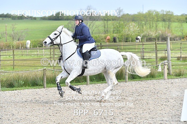 BPP_6715 - CLASS 2 FRI Club/ Unaffiliated 80cms Open