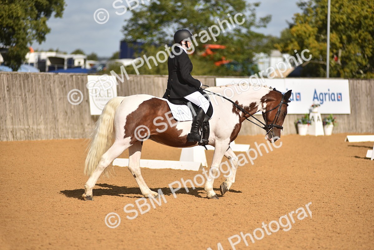 SBM_02943 - D4 - Small Tour Championship Intro 4