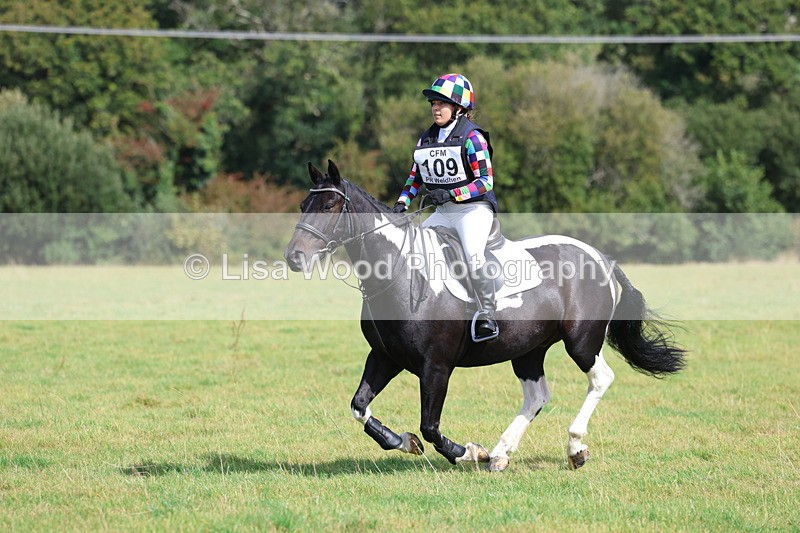 3E7A6537 - Class 1: Trebudannon Open: Pheasant Feeder