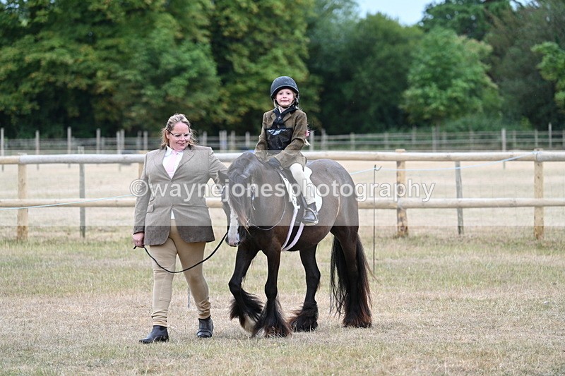 WJ7_7996 - Class 4 Prettiest Mare up to 14.2hh
