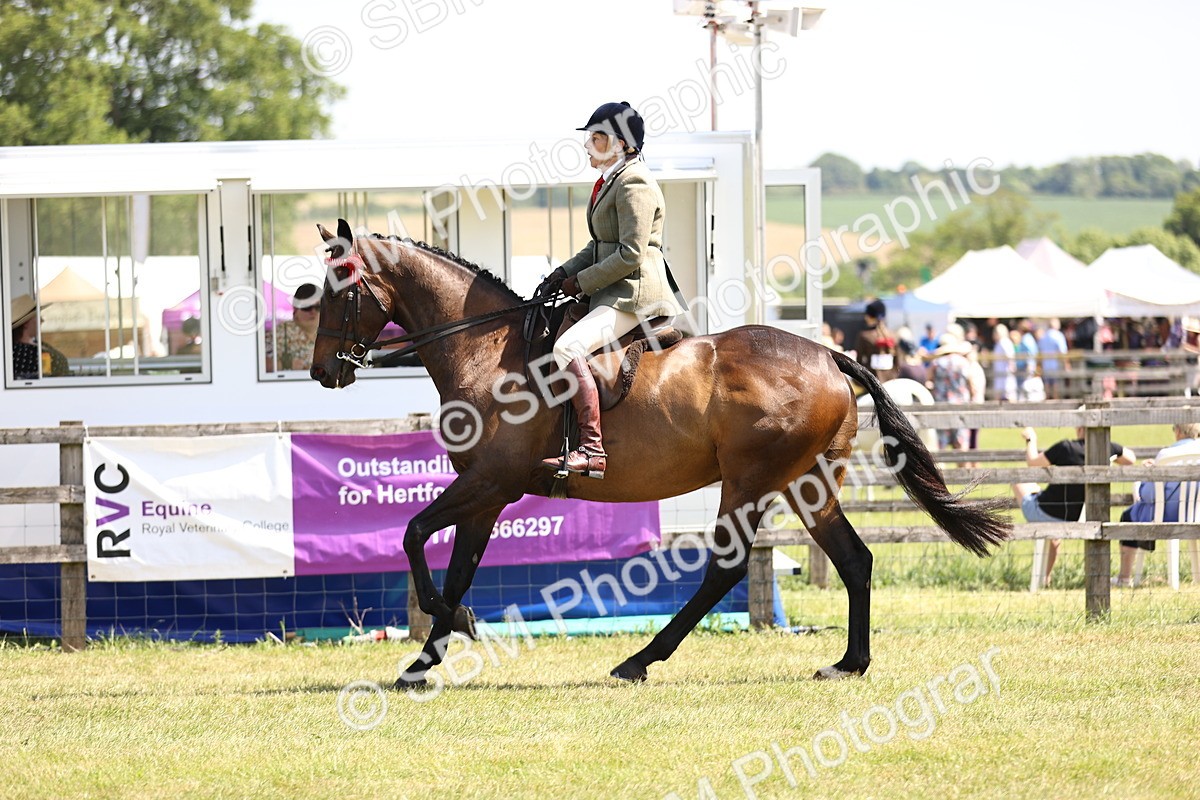 SBM_14898 - Class 78 - LIHS BSHA Open Racehorse & Show Horse