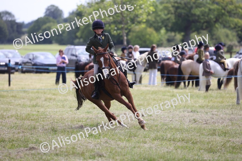 20260614-1862 - Class 21 - Novice Working Hunter Pony