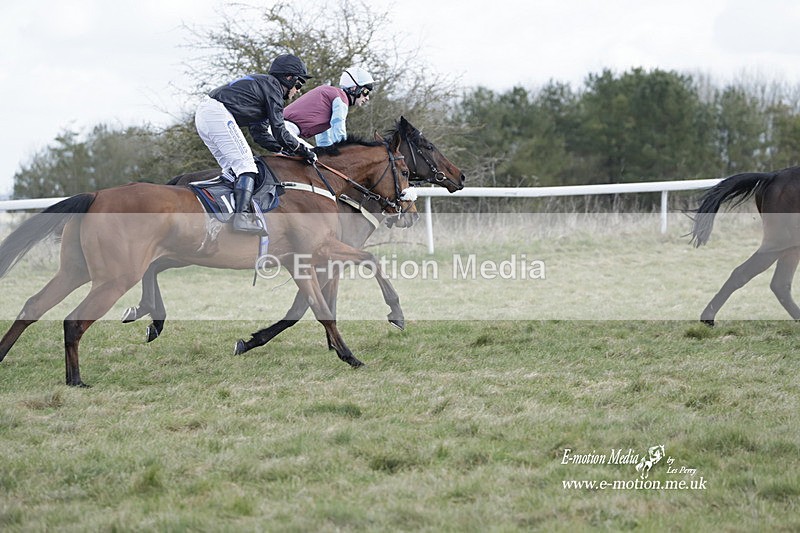 PtP 260223 440 - South & West Wilts Point-to-Point Larkhill 26/02/23