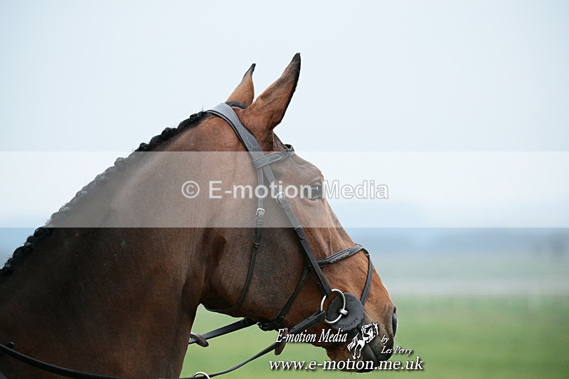 PtP 261123 10 - Hursley Hambledon Point-to-Point Larkhill 26 Nov 2023