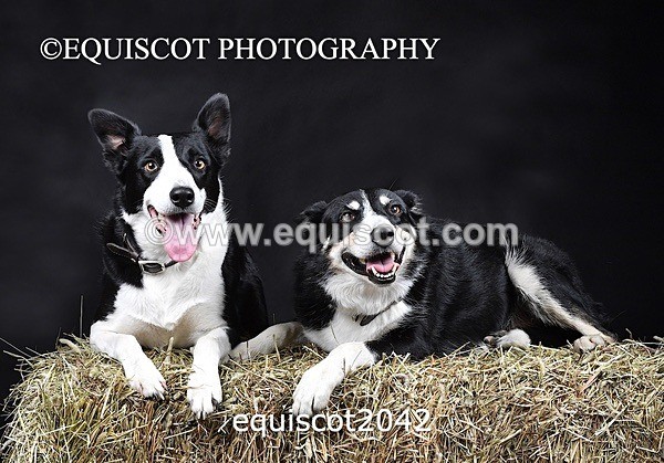 equiscot2042 - SKY & NELL
