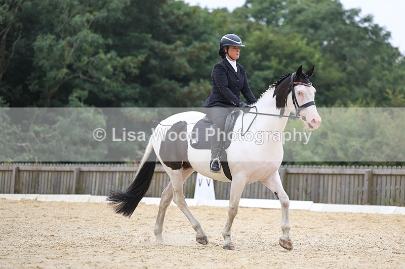 3E7A7055 - Class 7: Novice 4 2024 Section B