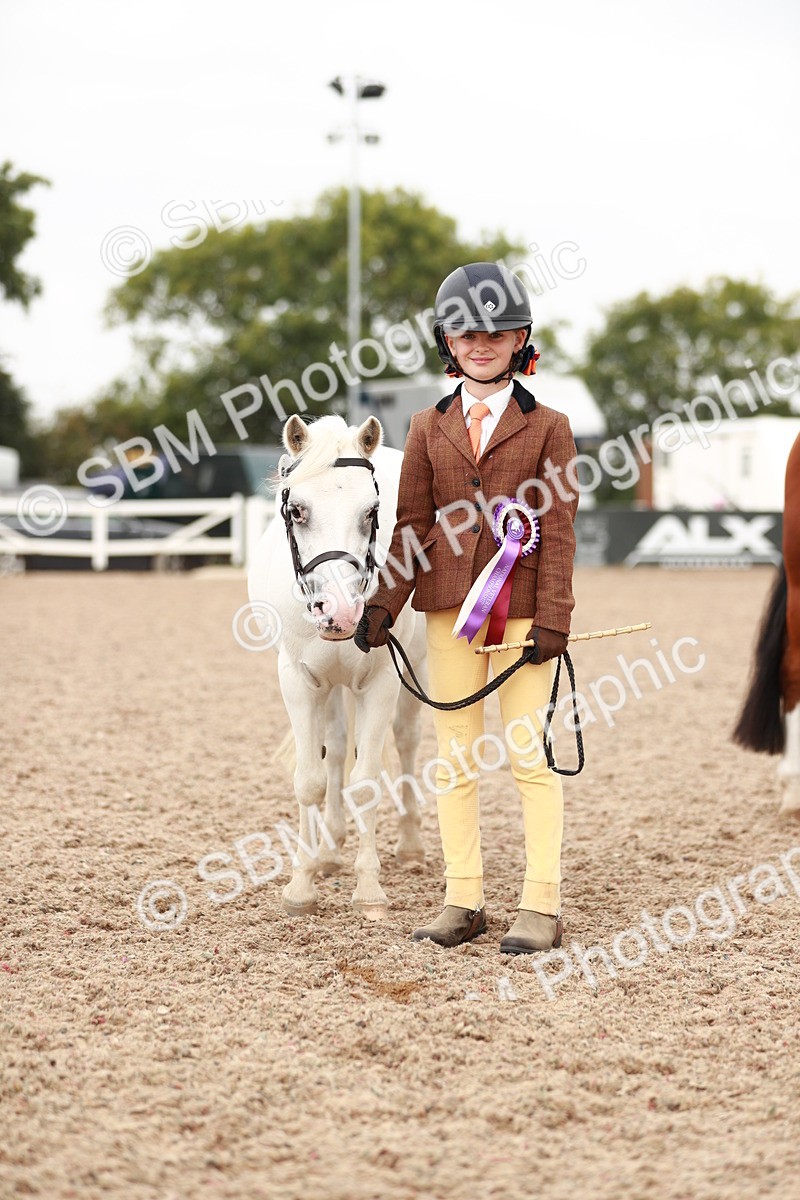 SBM_11934 - Class 206 IH Non Show Type Pony