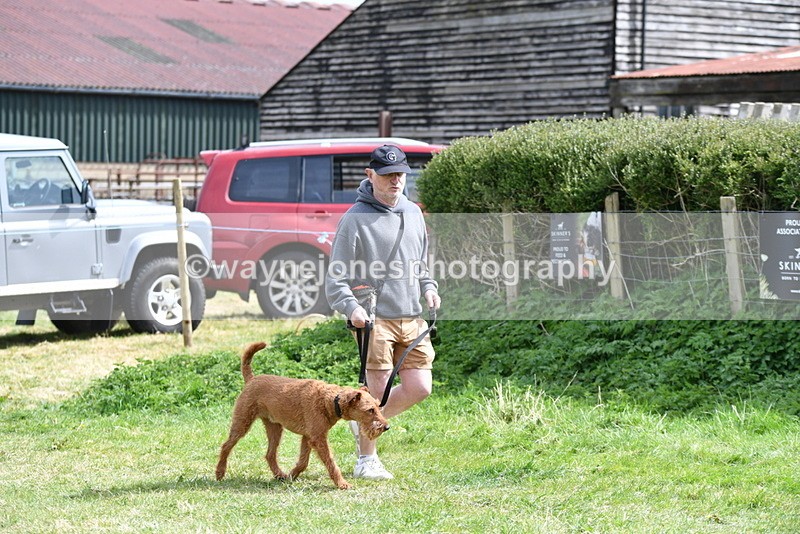 WJ5_9639 - Class 3 Most Handsome Dog