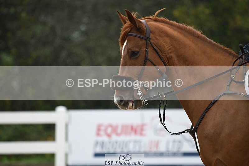 241103A-101912-07427 - SUN Cls 21 Snr Newcomers and 1.10m Open