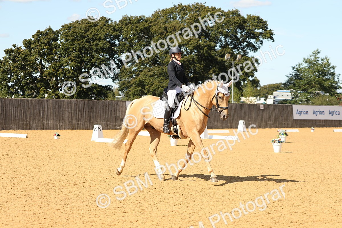 SBM_22303 - D17 - Grand Tour Championship - Novice 27