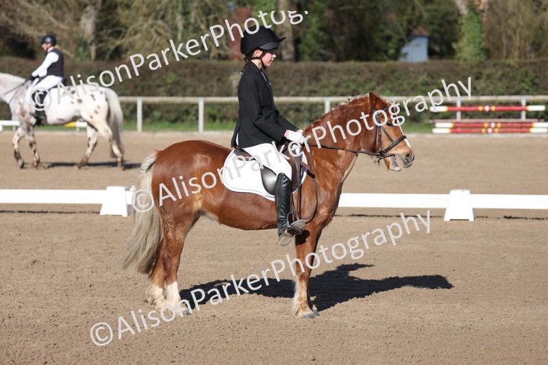 20260214-0287 - Class 3 - Prelim 2