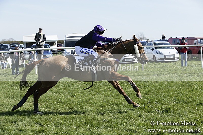 PtP 260317 87 - Mendip Farmers Point-to-Point Ston Easton 26/03/17