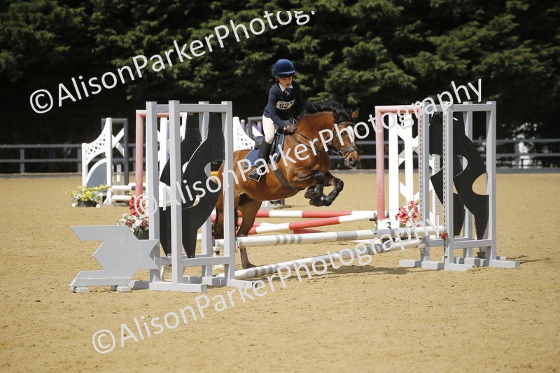 20250622-3872 - 50cm