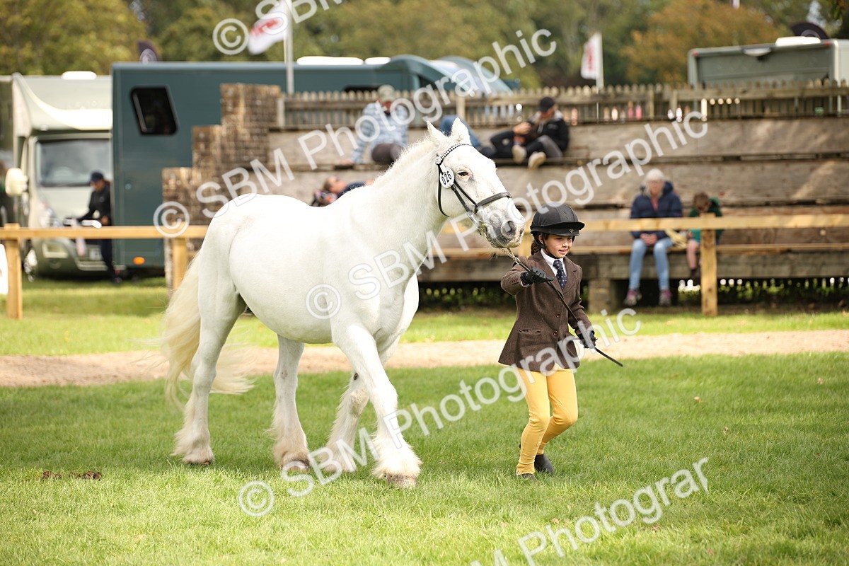 SBM_46402 - S25 - Mature Veteran In Hand