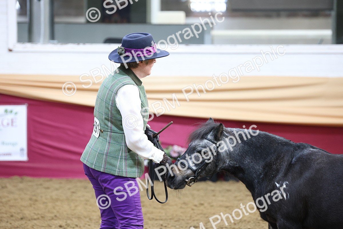 SBM_21836 - Class 901 - Supreme Final - IH  Diamond