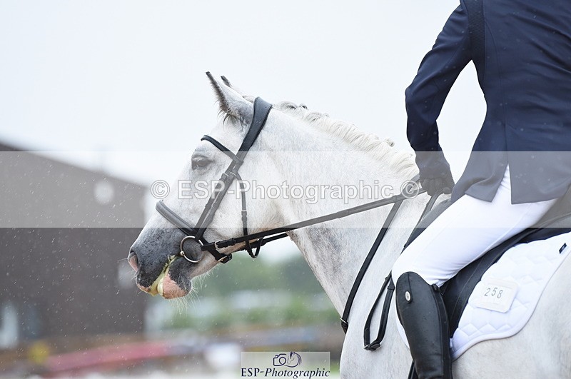 230708A-123828-01759 - Prelim 7