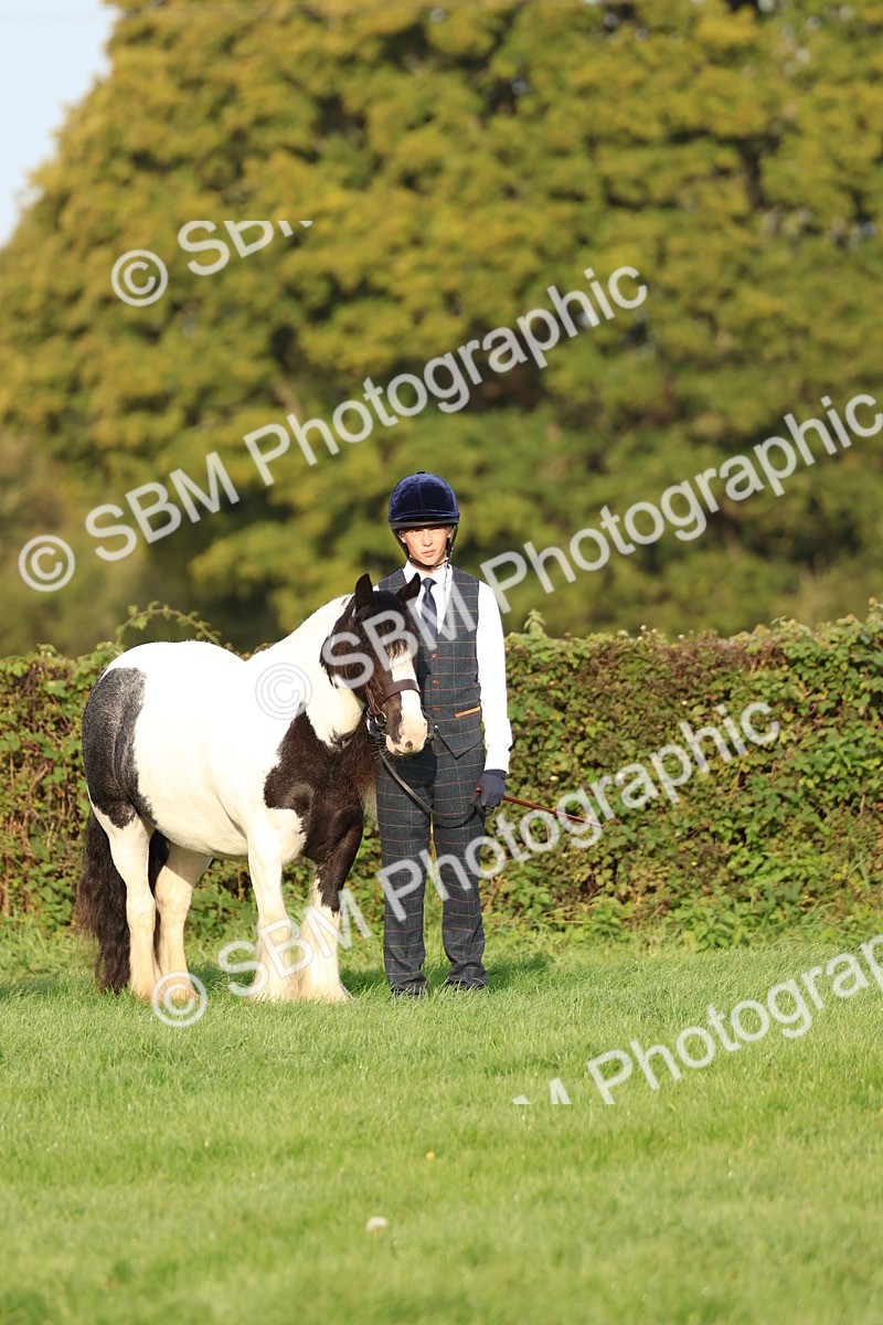 SBM_54860 - S39 - Starters In Hand Showing