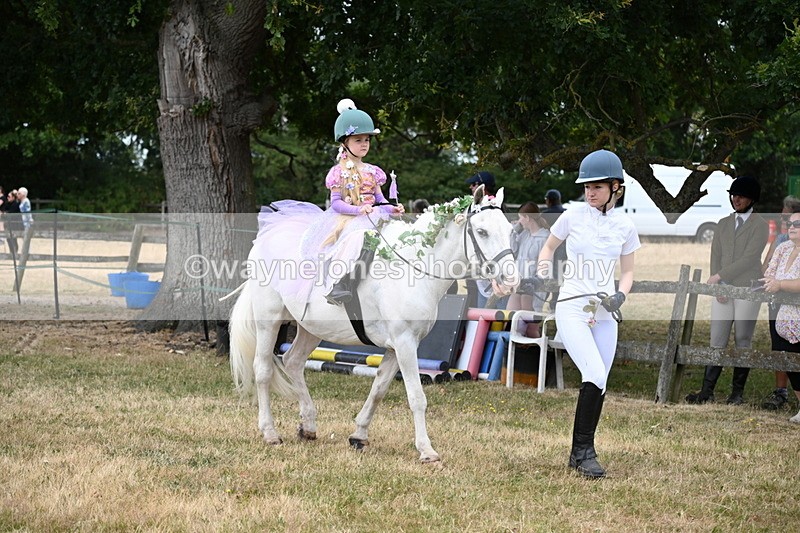 WJ6_4625 - Class 11 Fancy Dress