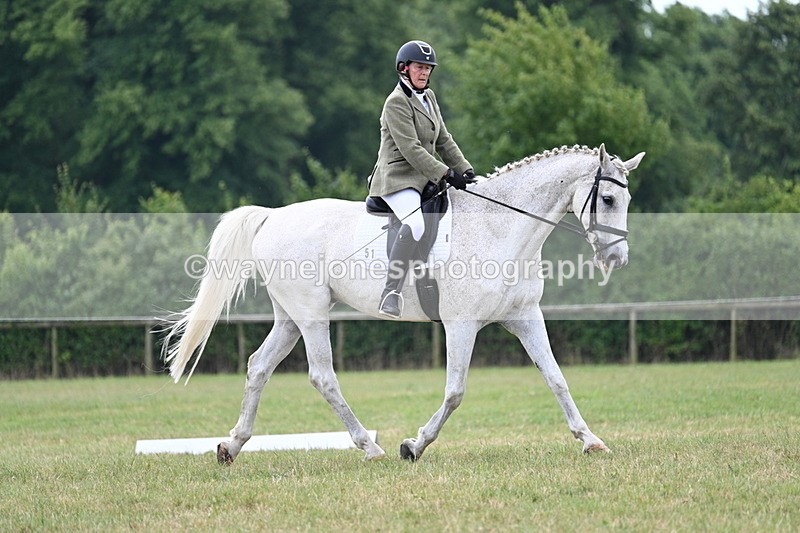 WJ7_5115 - Time 11:22 to 11:51