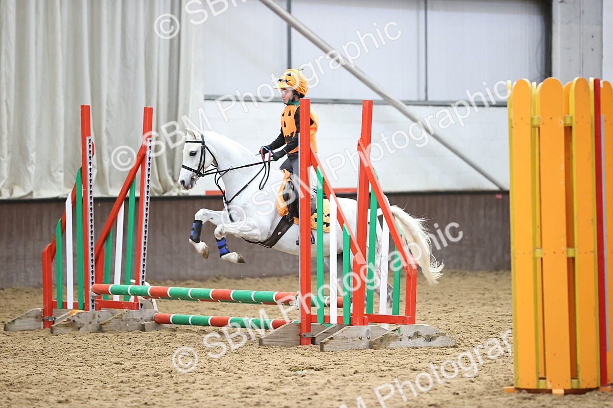 SBM_001363 - Class 3 - Horse & Hound 60cm