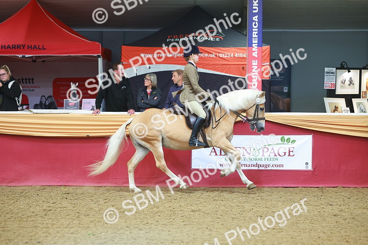 SBM_09649 - Class 102 - HOYS Veteran Qualifier - Ridden Veteran