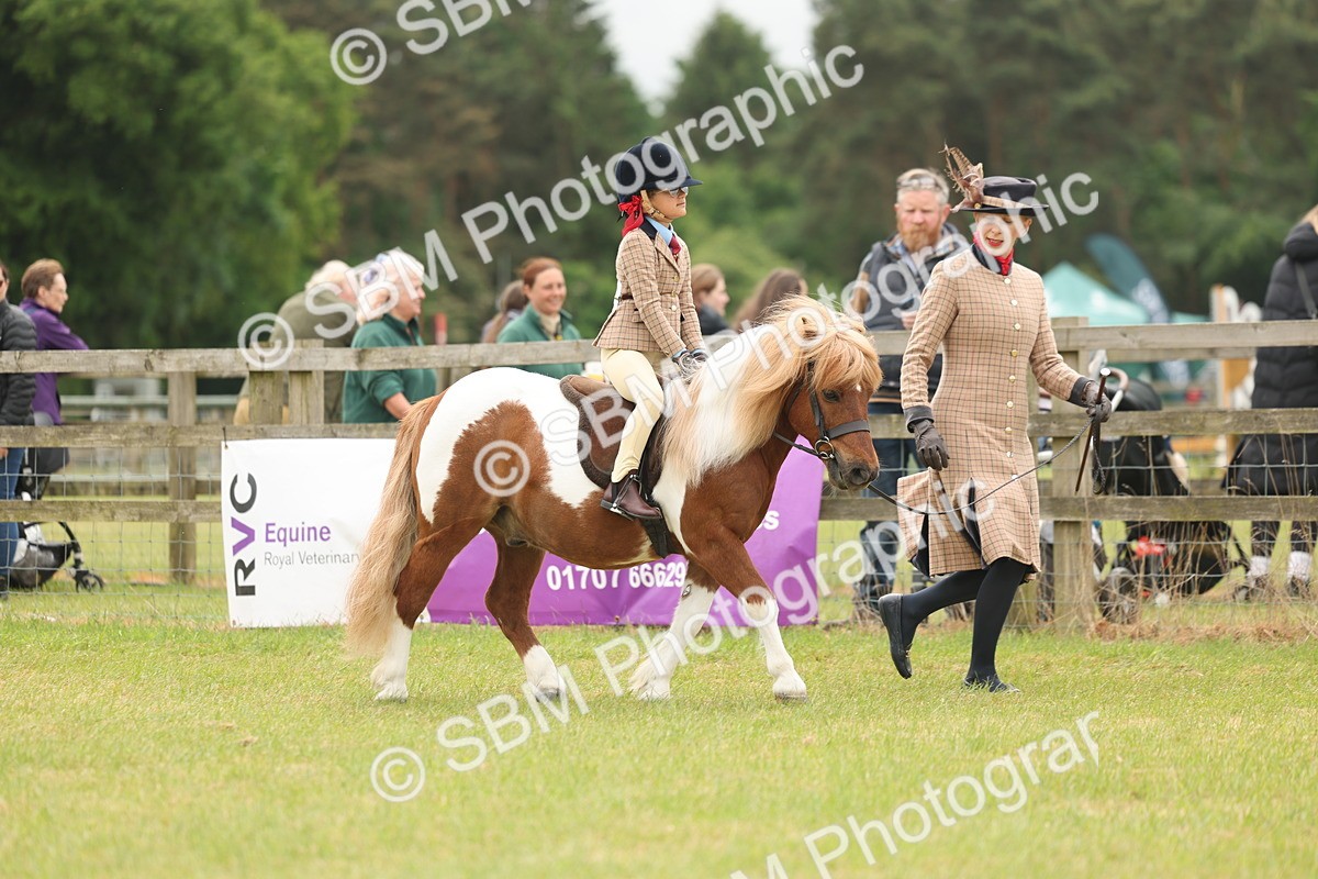 SBM_06688 - Class 74-75 - M&M Lead Rein and First Ridden Pony