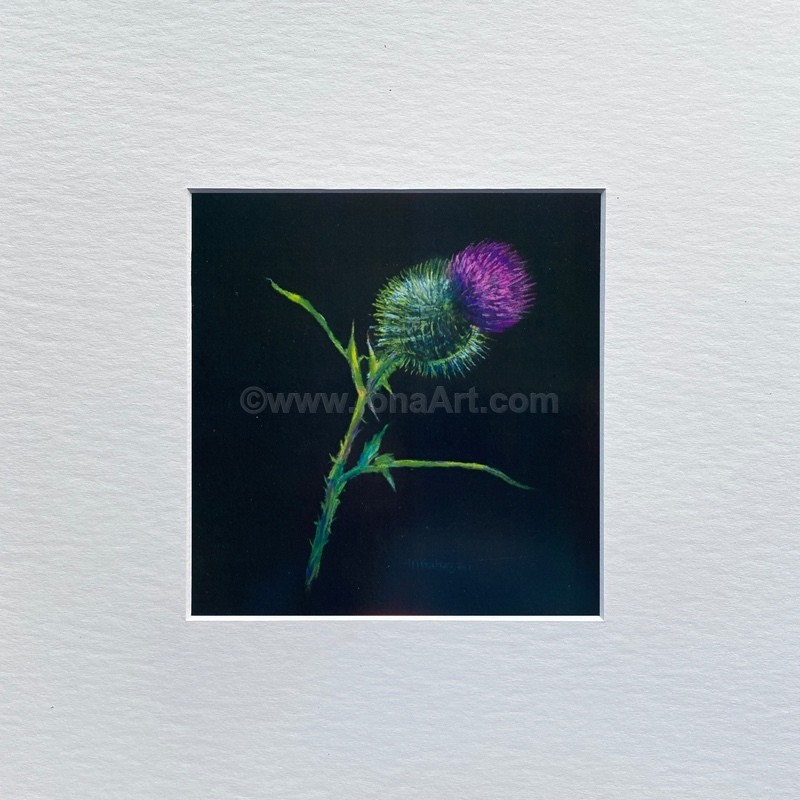 Simply Scottish - Nature