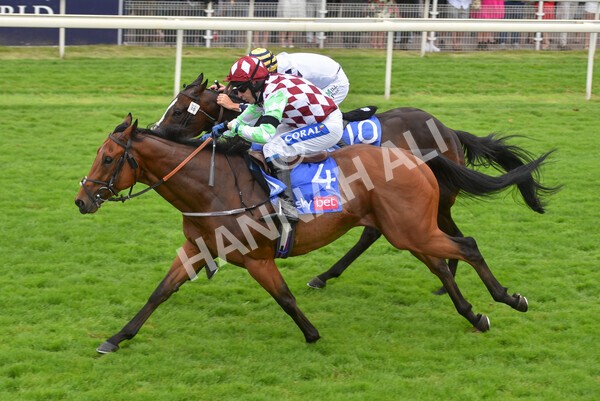 yr24072021r1-90 - Race 1 2.05pm Sky Bet Jump Jockeys Nunthorpe