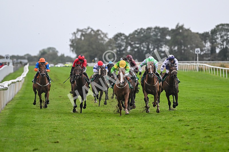 150925-Race 7-Ey Up Its Jazz-3244 - Race 7