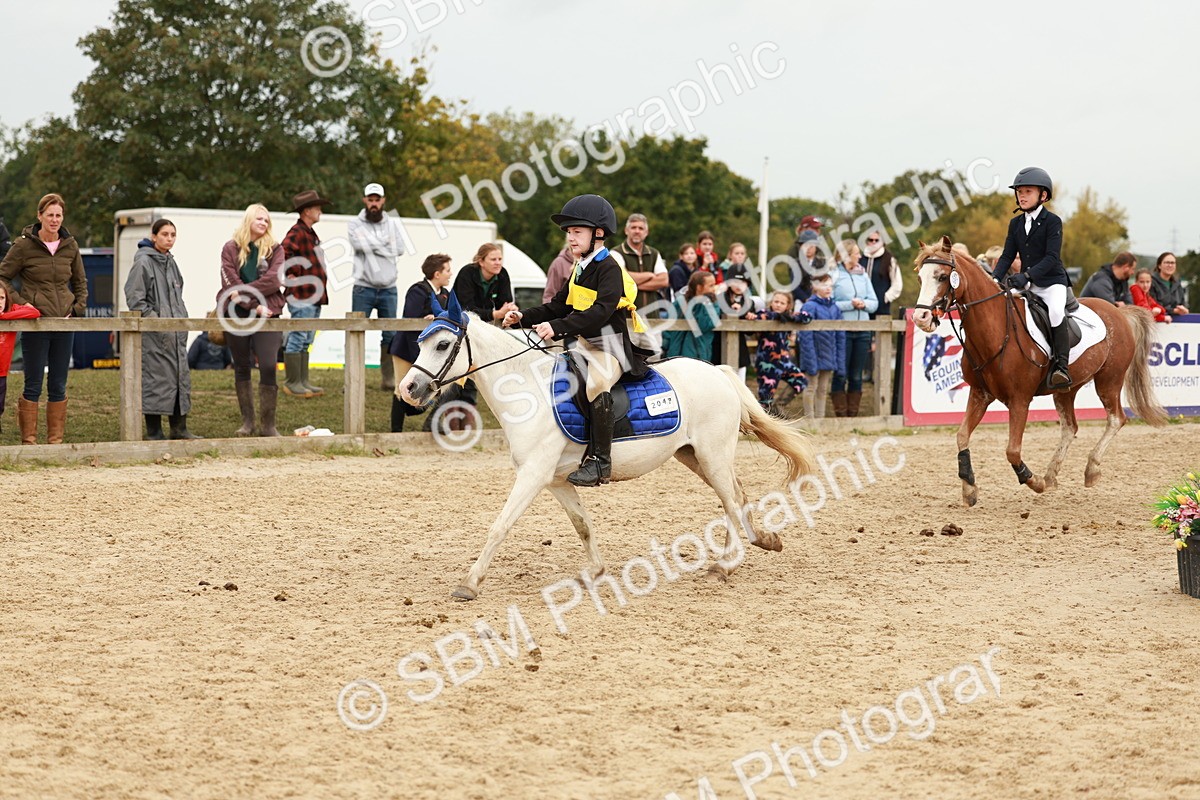 SBM_58128 - J11 - Junior Pony 50cm Championship