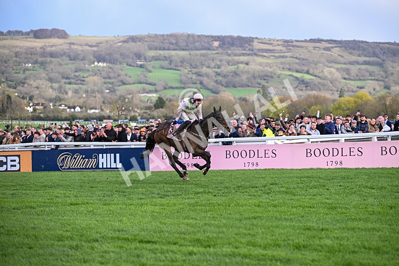 130326-Race 5-Gaelic Warrior-2619 - 13th March